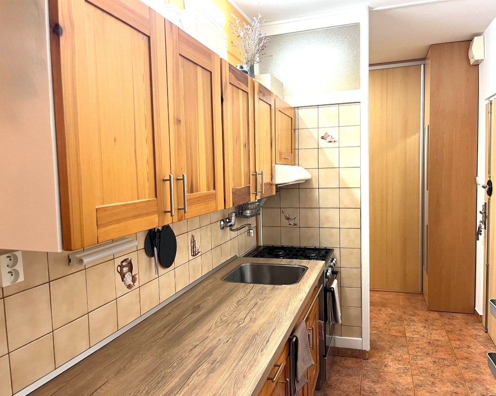 Prodej útulného bytu 2+1 s balkonem (lodžií) – Karlovy Vary, Drahovice